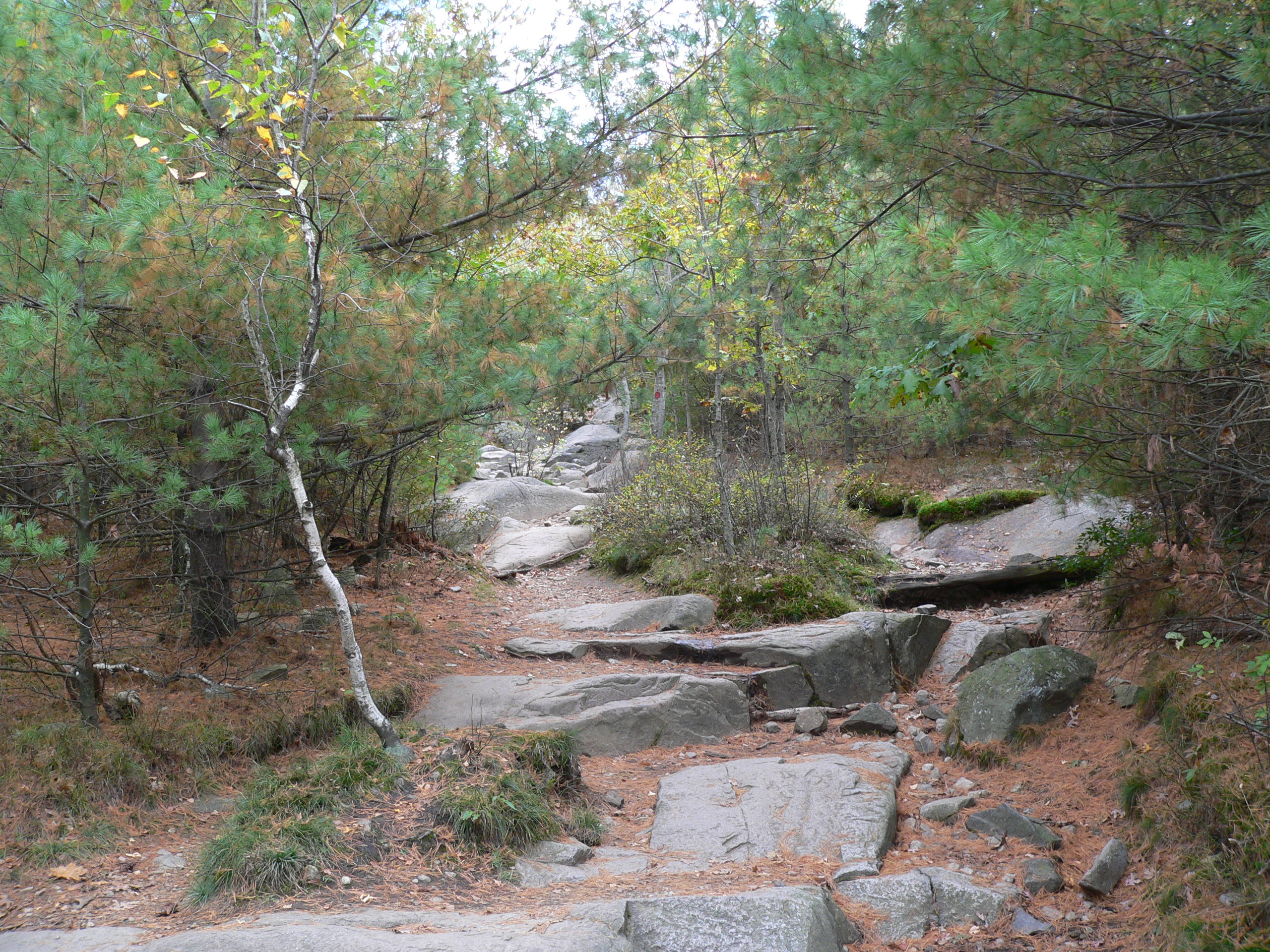 Blue Hills Reservation hills and forest in Milton Massachusetts
